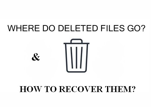 Where do deleted files go 1