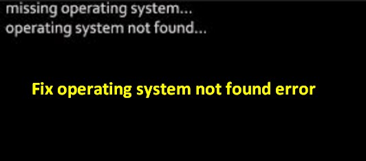 Operating system not found 12