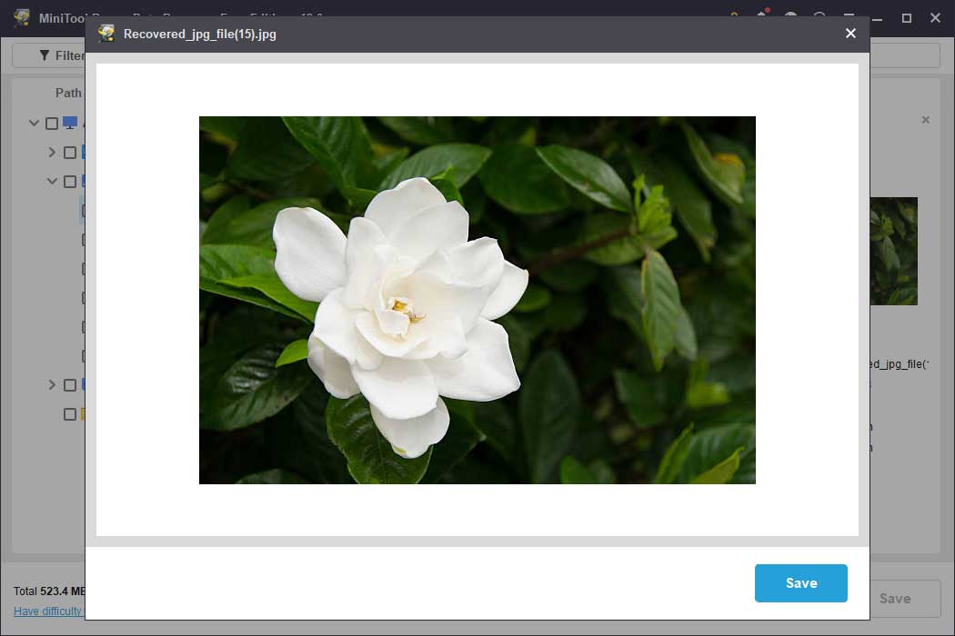 preview files