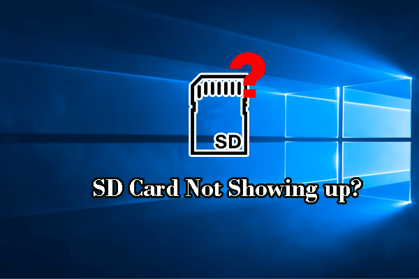 SD Card not Showing up on Windows – Ultimate Guide
