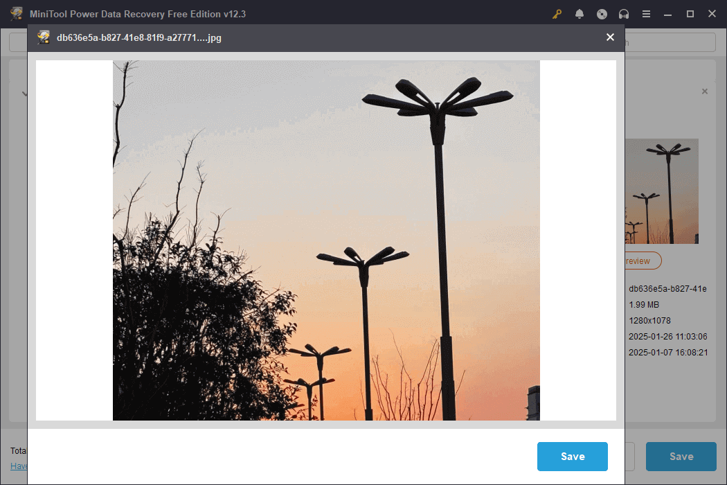 preview the selected file using the Preview feature in the MiniTool Power Data Recovery