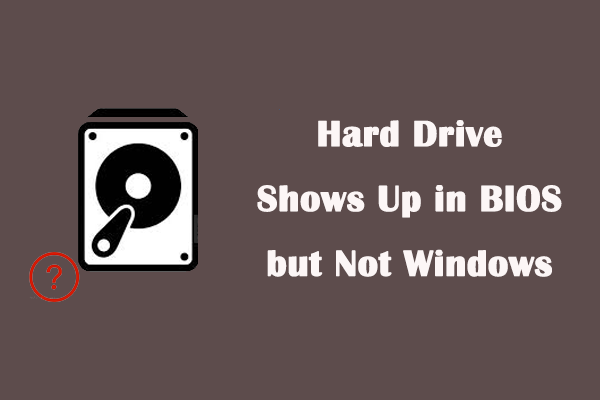 Hard Drive Shows Up in BIOS but Not Windows: Fix & Data Recovery