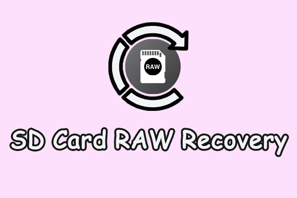 SD Card RAW Recovery: How to Repair and Recover Data from It