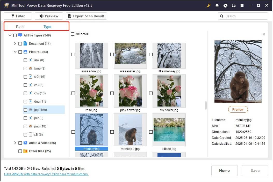 view files by path and type in MiniTool Power Data Recovery