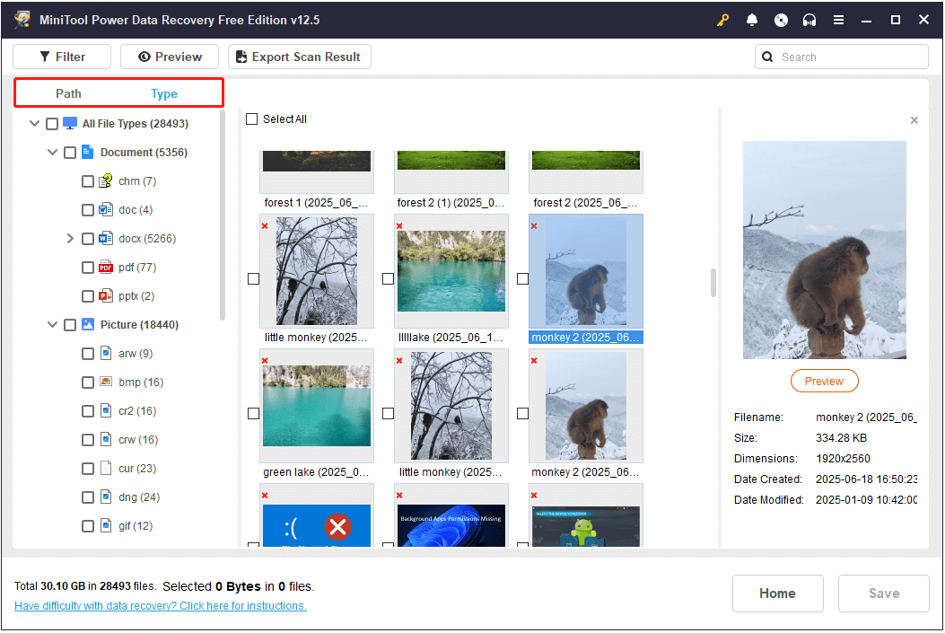 files are displayed under Path and Type in MiniTool Power Data Recovery