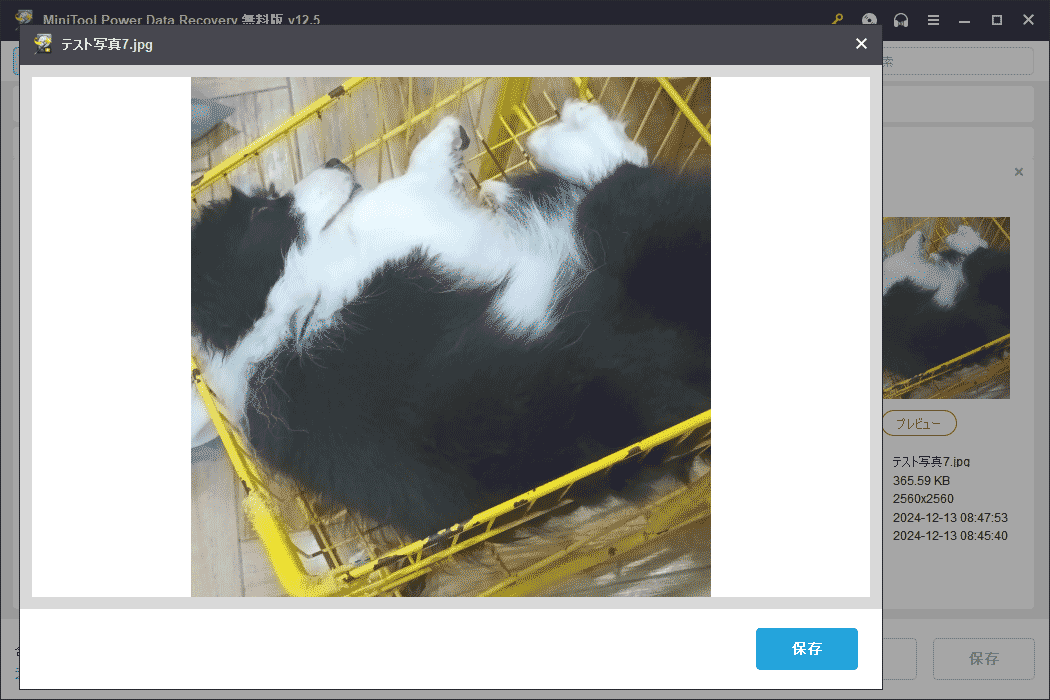 MiniTool Power Data Recoveryのプレビュー機能を使ってファイルを確認