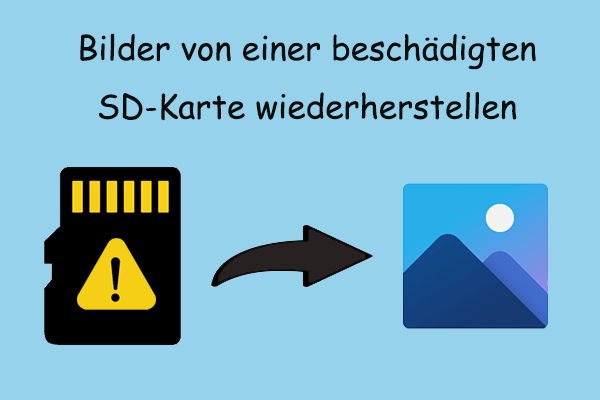 Vertrauenswürdiger Leitfaden: So stellen Sie Bilder von einer beschädigten SD-Karte wieder her