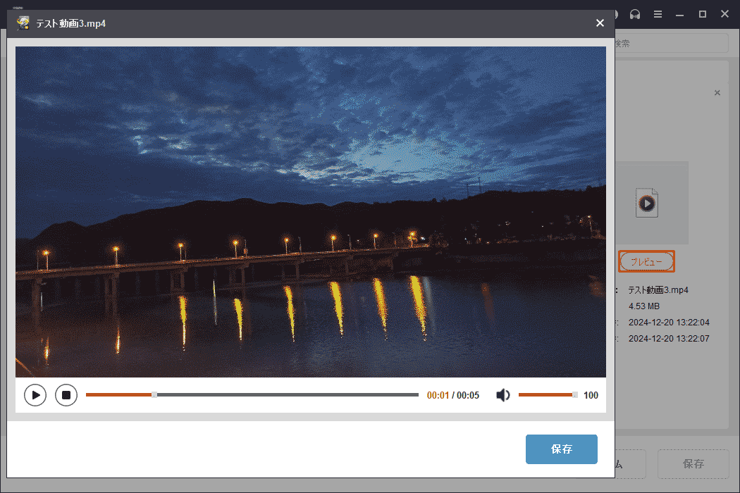 目的の動画ファイルが見つかったら、「プレビュー」ボタンをクリックしてファイルの内容を確認