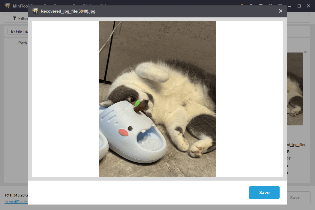 preview the file in MiniTool Power Data Recovery
