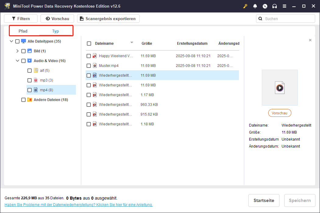 Verwenden Sie die Funktion Typ, um Videos in MiniTool Power Data Recovery zu finden