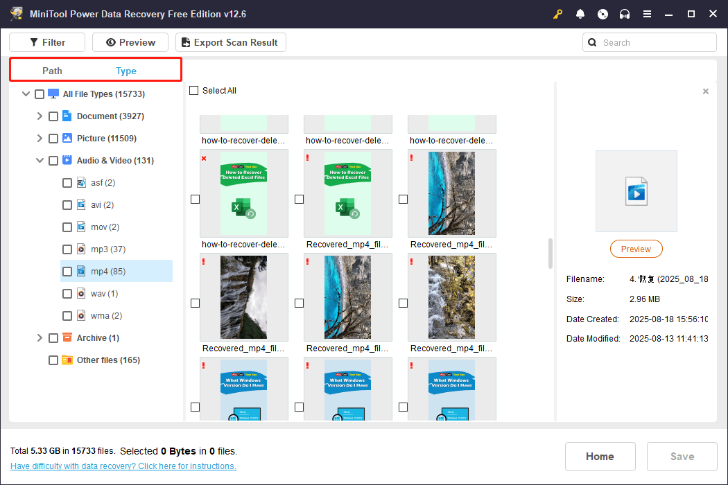 the Path and Type file view options in MiniTool Power Data Recovery
