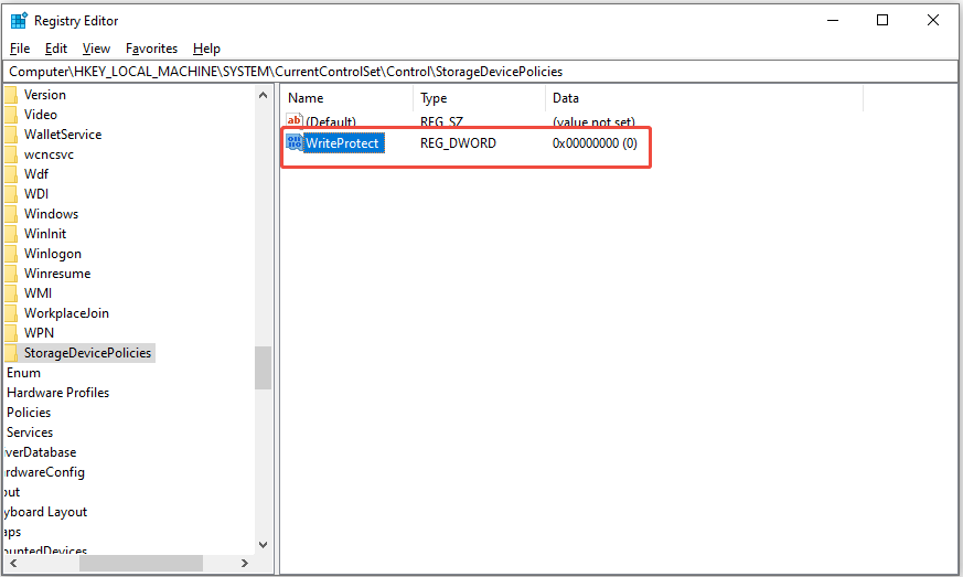 create a new entry named WriteProtect