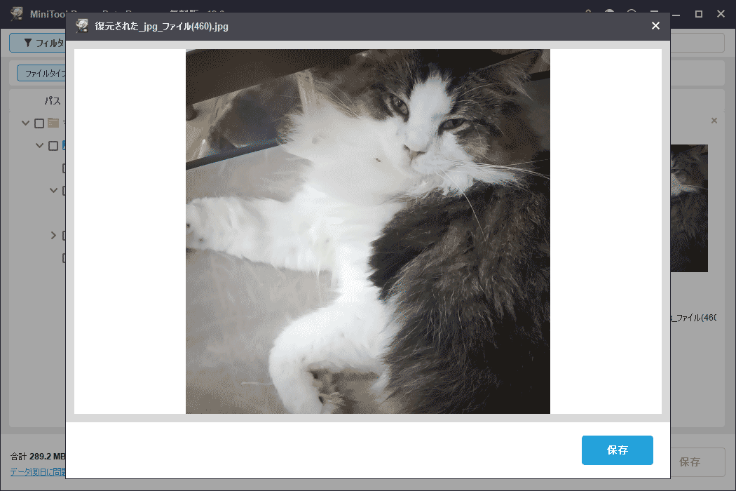 目的のファイルをダブルクリックして内容をプレビュー