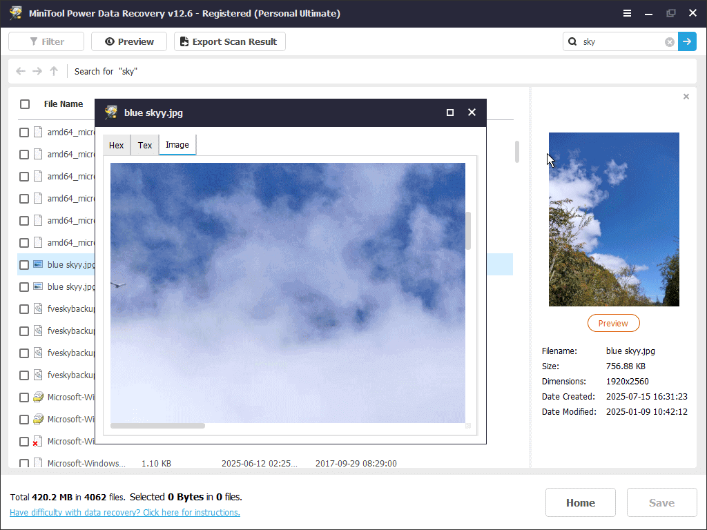 preview the files in MiniTool Power Data Recovery