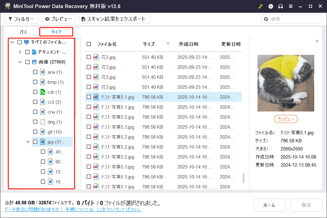 MiniTool Power Data Recoveryの「タイプ」タブでスキャン結果がファイルタイプごとに分類され