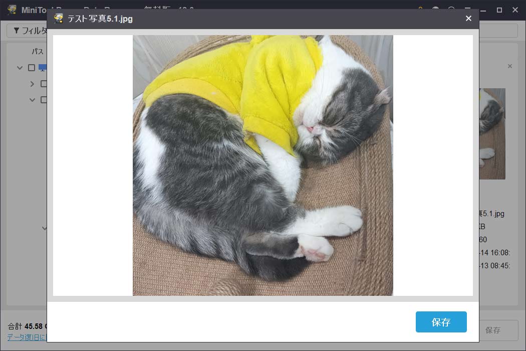 MiniTool Power Data Recoveryの「プレビュー」ボタンを使用してファイルの内容を確認