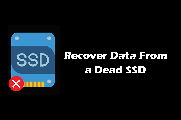How to Recover Data From a Dead SSD in Windows: Trusted Guide
