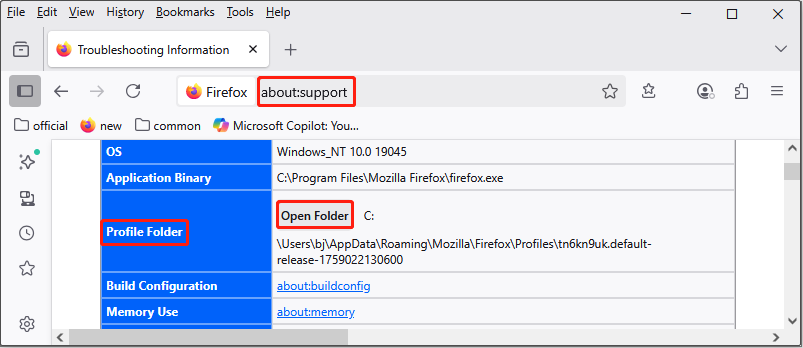 open the old profile folder