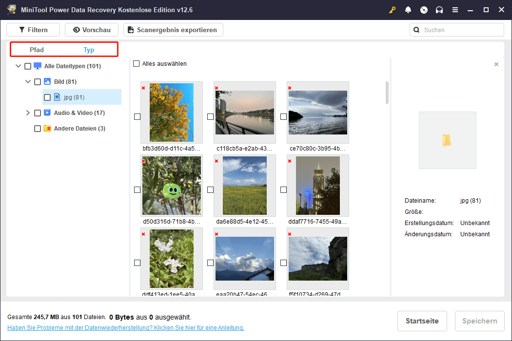 Die Typ-Funktion in MiniTool Power Data Recovery