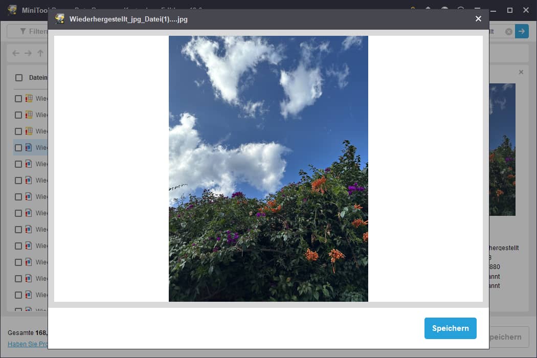 Dateien in MiniTool Power Data Recovery vorschauen