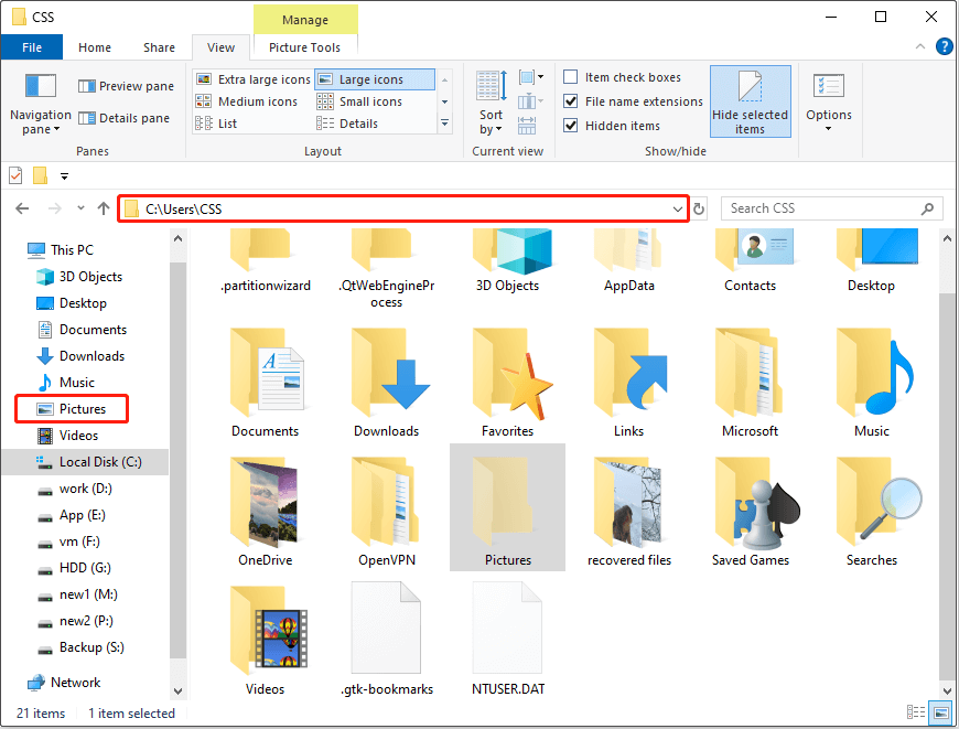 the Pictures folder being displayed in File Explorer