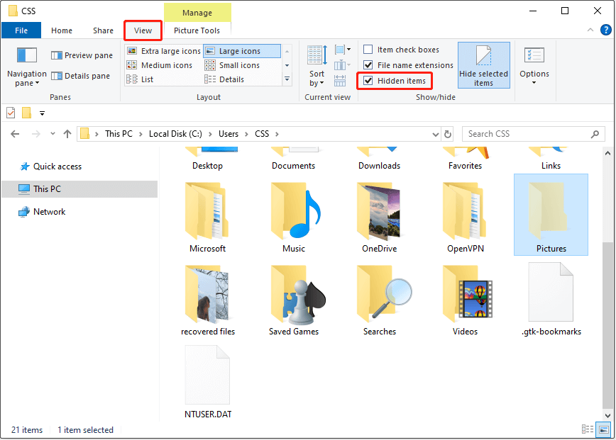 Hidden items box being ticked to show hidden files and folders in File Explorer