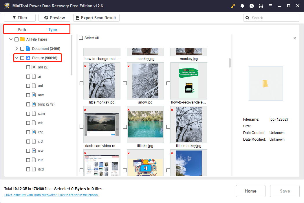 pictures being displayed under Type and Path in MiniTool Power Data Recovery