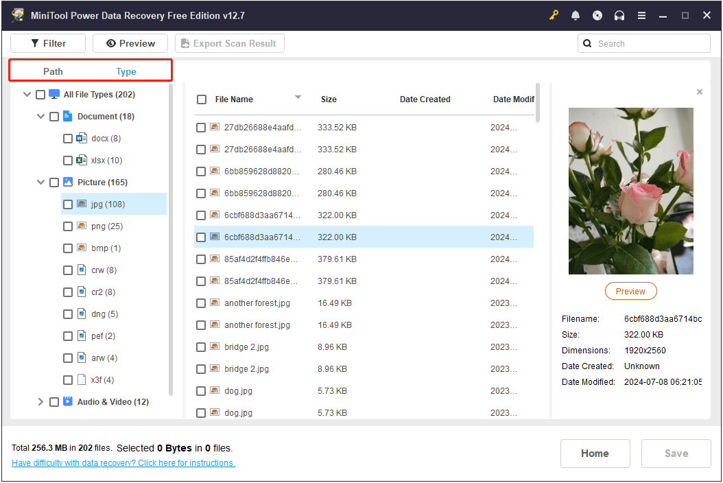 files being displayed under Path and Type in MiniTool Power Data Recovery