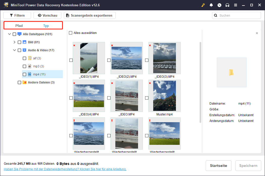 Die Ansichtsoptionen „Pfad“ und „Typ“ in MiniTool Power Data Recovery.
