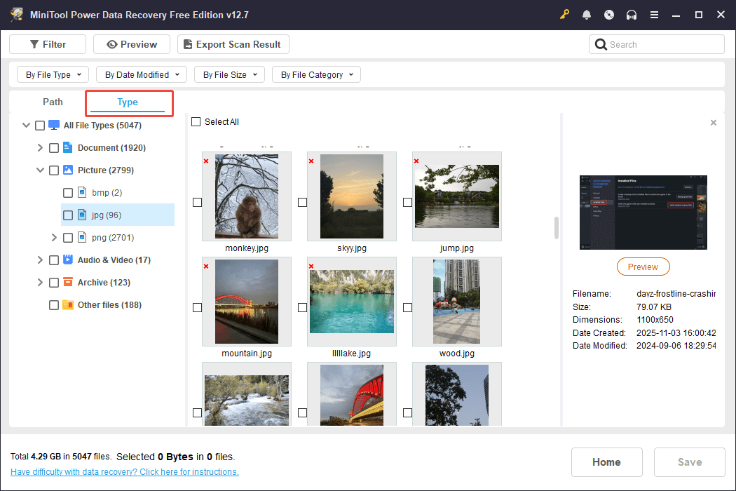 The Type interface of MiniTool Power Data Recovery to filter files by type and format.