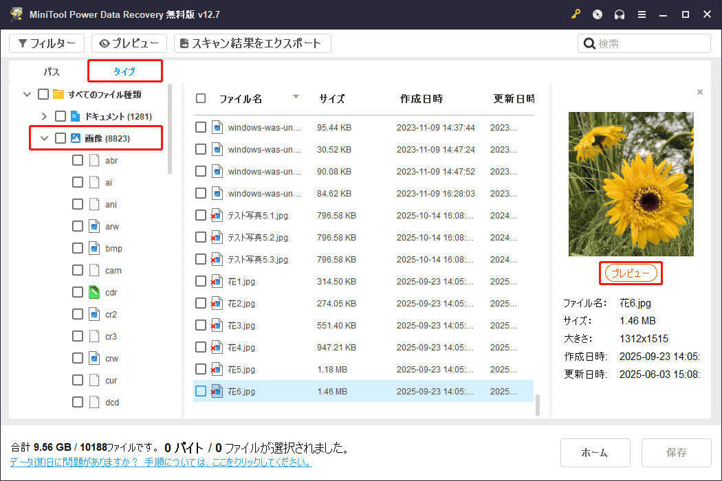 MiniTool Power Data Recoveryの「タイプ」タブに移動してタイプによってファイルを見つけ、「プレビュー」ボタンをクリックしてファイルを確認