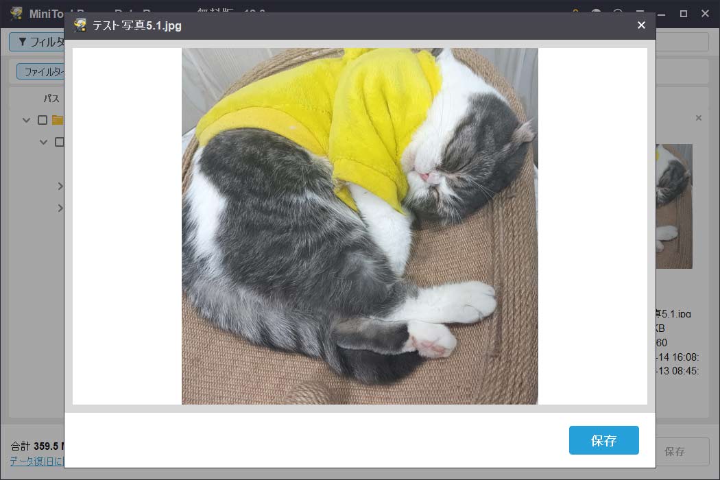 MiniTool Power Data Recoveryの「プレビュー」ボタンをクリックするか、ファイルをダブルクリックして、必要なファイルかどうかを確認