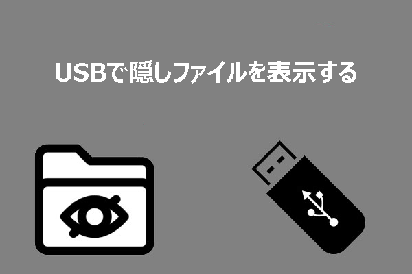 WindowsでUSBまたはSDカードで隠しファイルを表示する－三つの方法