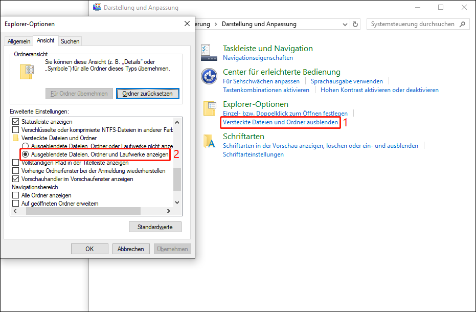Die ausgewählte Option Ausgeblendete Dateien, Ordner und Laufwerke anzeigen auf dem Fenster von Explorer-Optionen.