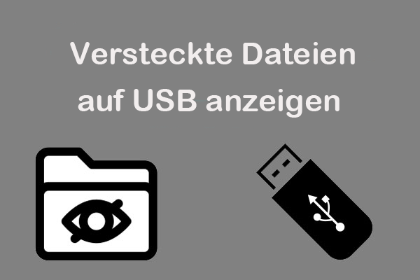 Versteckte Dateien auf USB oder SD-Karte unter Windows anzeigen – 3 Methoden