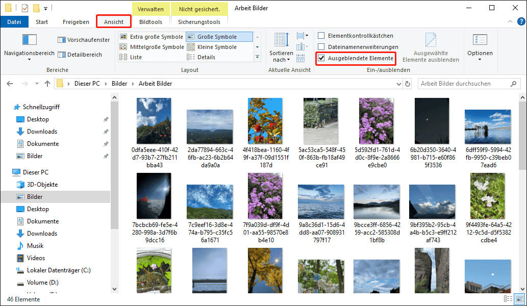 Datei-Explorer-Oberfläche mit geöffnetem Register Ansicht und aktivierter Option Ausgeblendete Elemente.