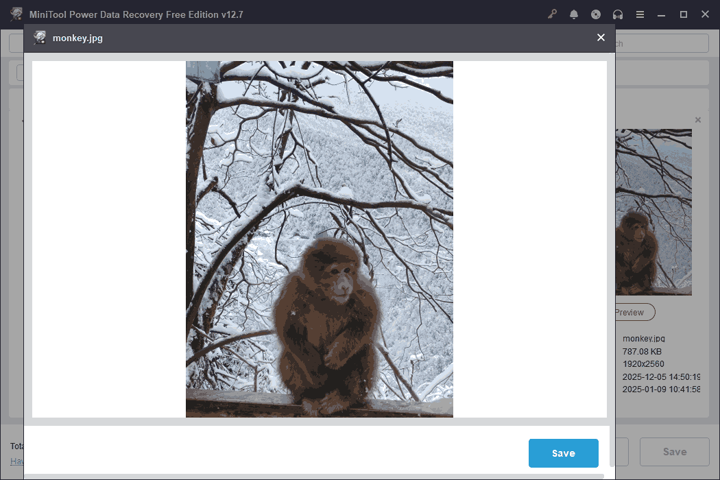 A preview window of a photo of a monkey embedded on the MiniTool Power Data Recovery interface.
