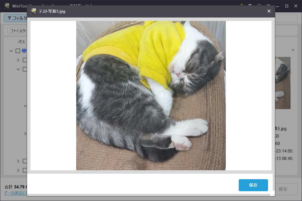 MiniTool Power Data Recoveryのプレビュー画面