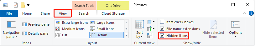 The View tab and Hidden items option selected in the top toolbar of the File Explorer interface.