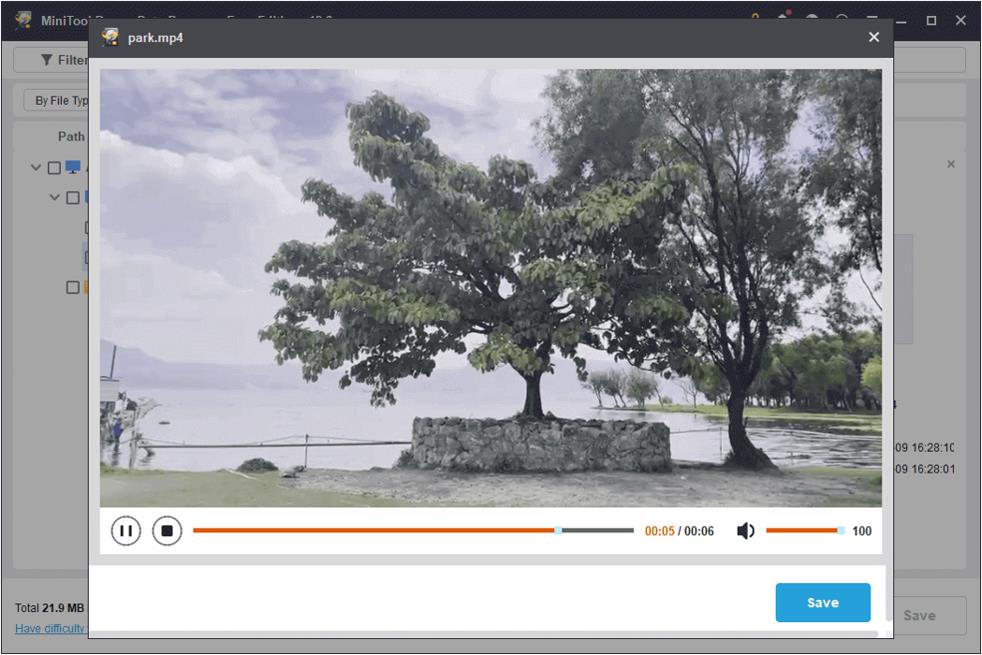 The preview interface in MiniTool Power Data Recovery showing a tree and a lake for file verification.