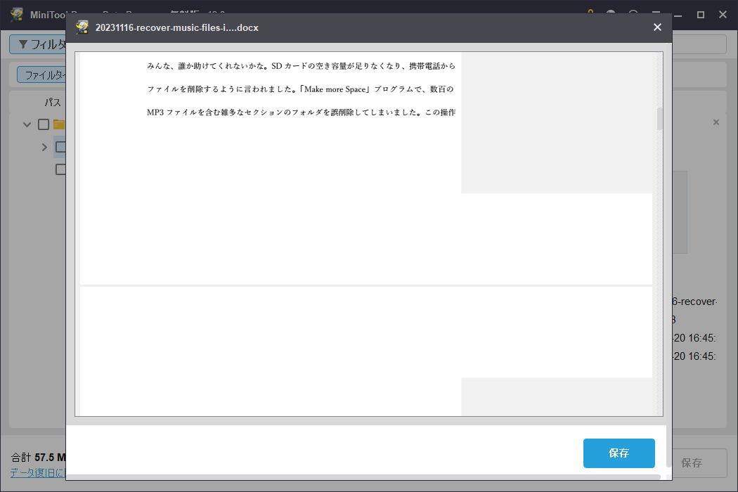 MiniTool Power Data Recoveryでファイルをプレビューする画面
