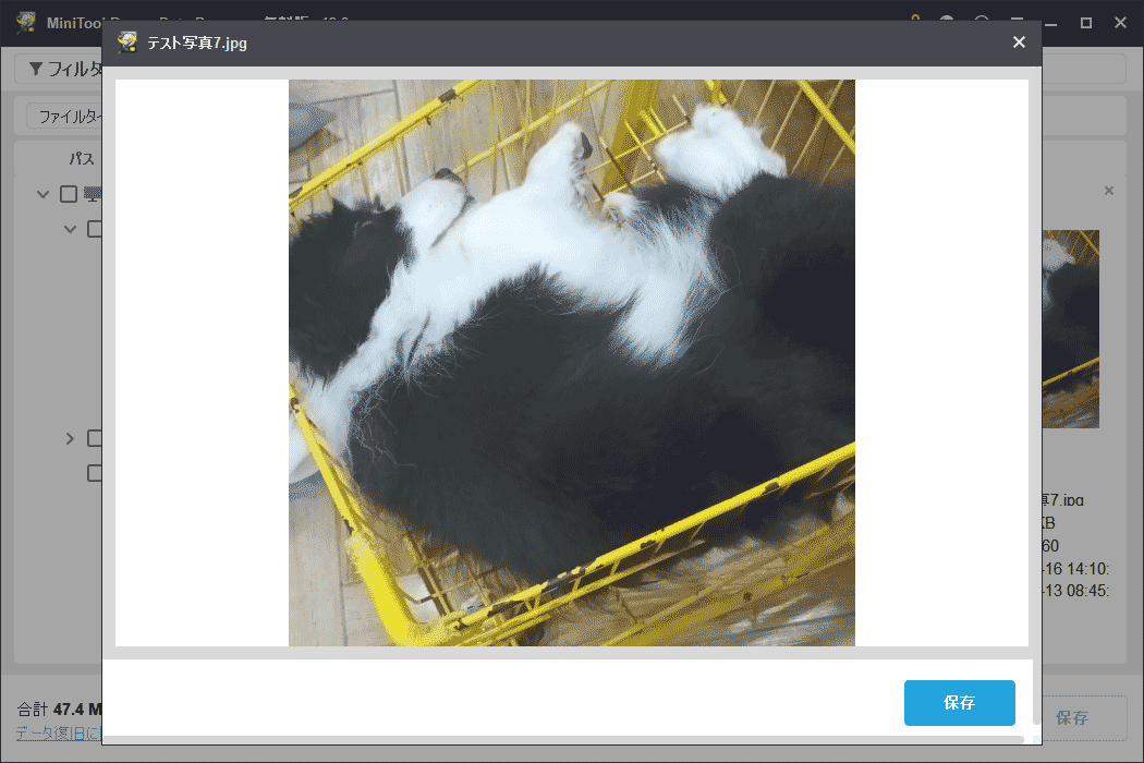 MiniTool Power Data Recoveryでファイルをプレビューする画面
