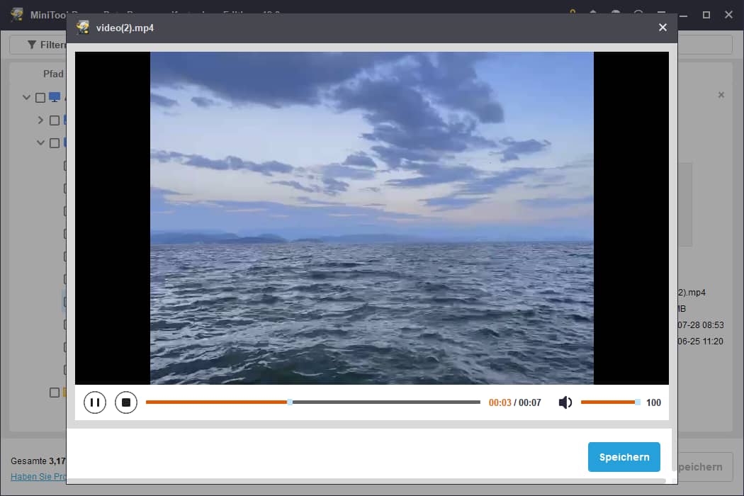 Vorschauoberfläche in MiniTool Power Data Recovery mit Baum- und Seedarstellung zur Dateiverifizierung.