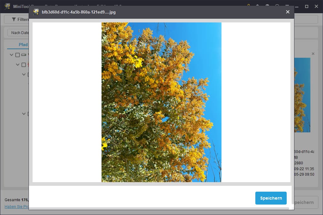 Vorschauansicht in MiniTool Power Data Recovery mit einem See und Bergen zur Bestätigung der Datei.