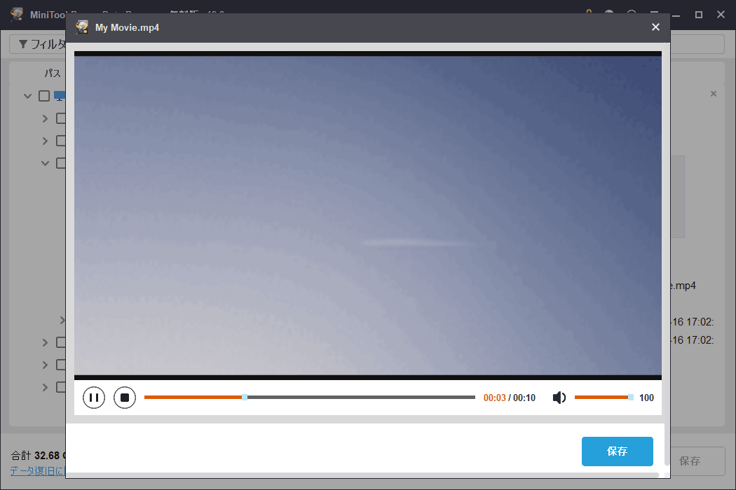 MiniTool Power Data Recoveryのプレビュー画面