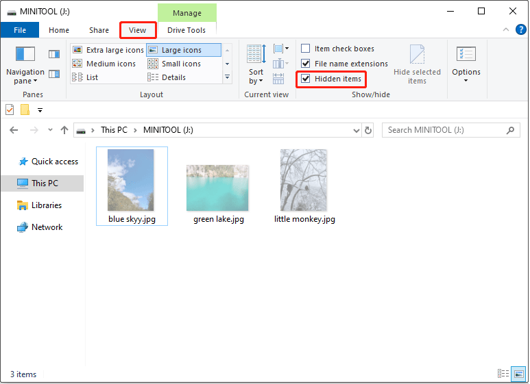 File Explorer interface opened to the View tab, with the Hidden items box selected to show hidden files.