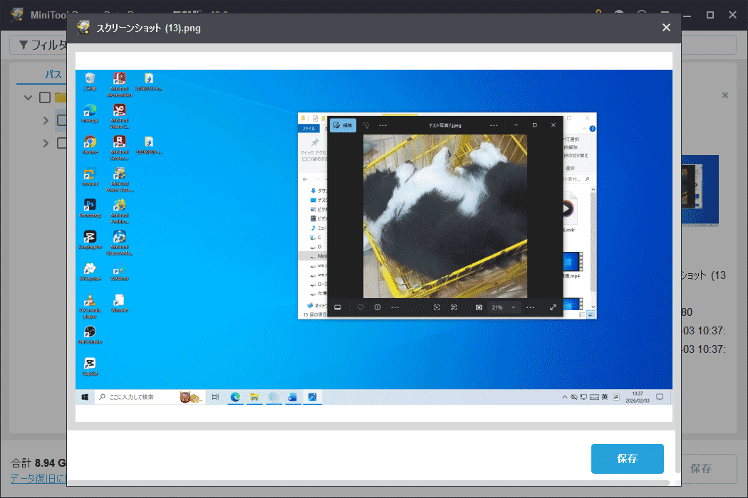 MiniTool Power Data Recoveryのプレビューウィンドウ