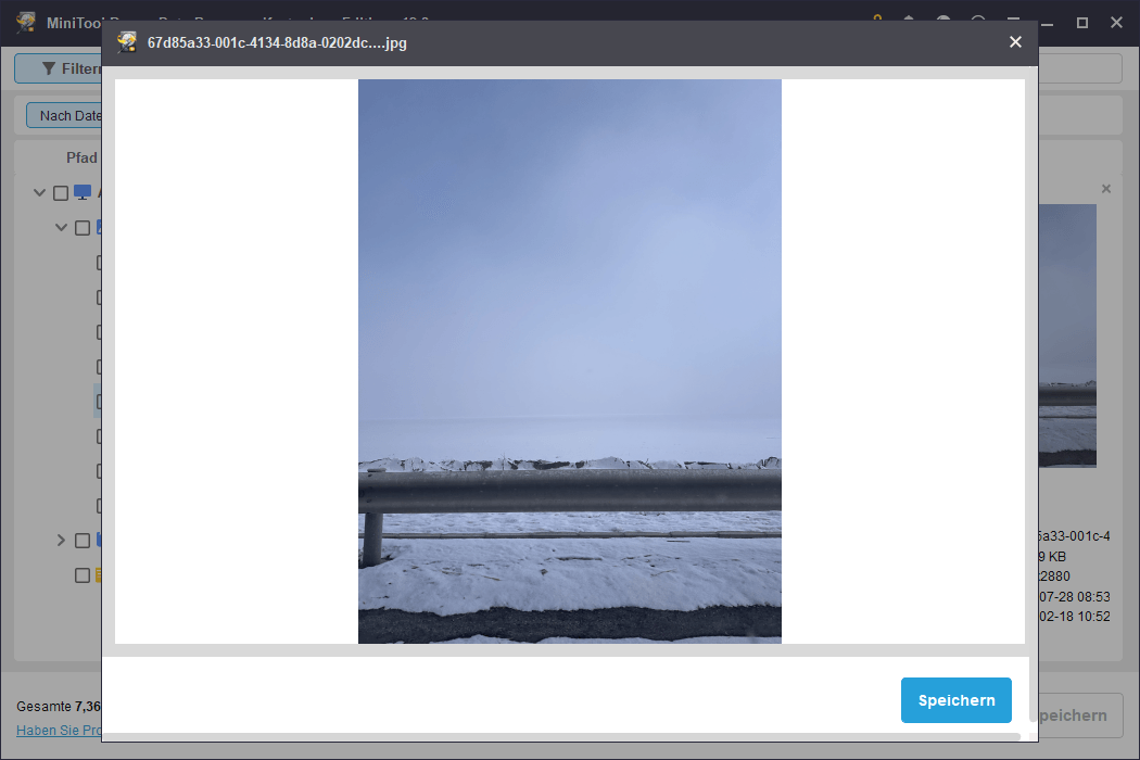 Bildvorschau in MiniTool Power Data Recovery.