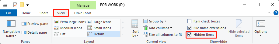 File Explorer interface showing the View section with the Hidden items option checked.
