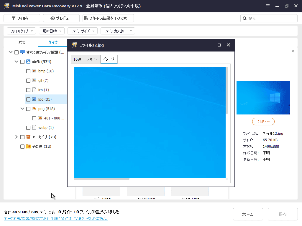 MiniTool Power Data Recoveryのプレビュー画面